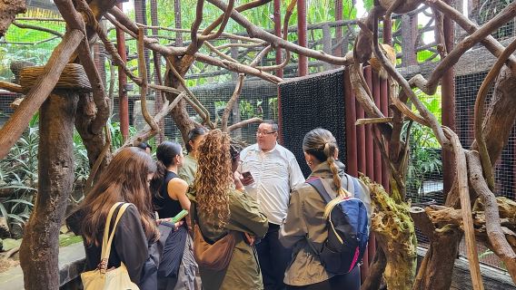 Tour di un giorno intero ai Giardini delle Cascate di La Paz da San José