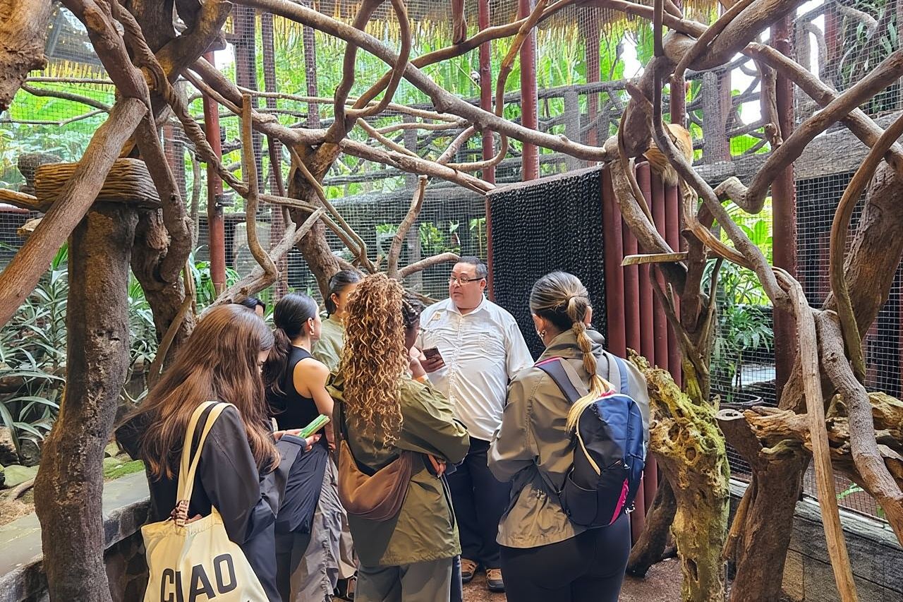 Tour di un giorno intero ai Giardini delle Cascate di La Paz da San José