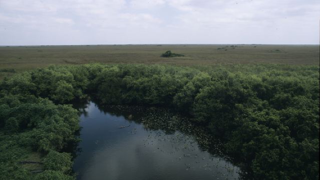 美國邁阿密-大沼澤地國家公園一日遊【中文包車自由行】