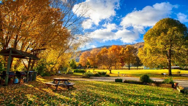Queenstown Round-Trip: Arrowtown + Wanaka Half-Day Tour (4-15 Person Group)