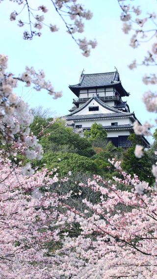 Inuyama Castle & Magome-juku & Ena Ravine & Inari Shrine & Tsumago-juku 1-day tour | Departing from Nagoya