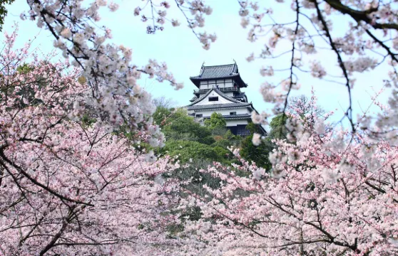 犬山城&稻荷神社& 恵那峽&馬籠宿&妻籠宿一日遊|名古屋出發