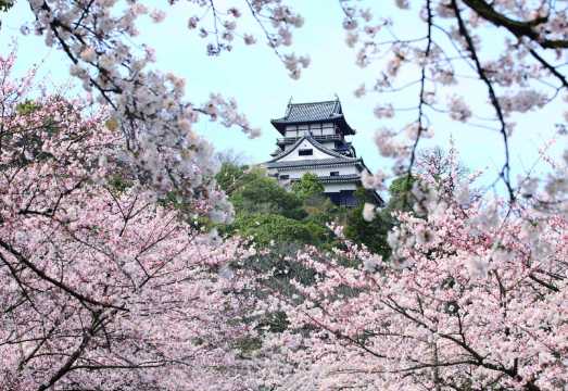1-day tour to Inuyama Castle, Inari Shrine, Ena Gorge, Magome, and Tsumago-juku | Departing from Nagoya