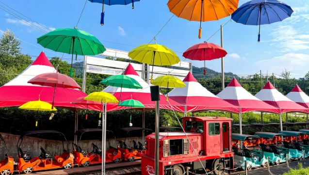 서울: 남이섬 일일투어 (강촌 레일바이크 선택 가능)