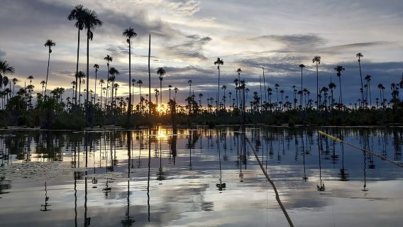 Puerto Maldonado : Trip to Yacumama Lake + sunset