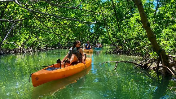 Marco Island and Naples Pedal or Paddle Kayak Tour