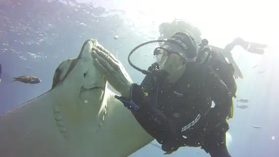 Scuba Diving Beginner's Session in Costa Adeje