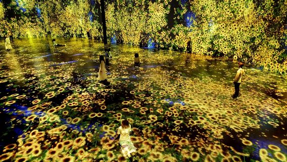 Miami: Ticket für das Superblue Miami Immersive Art Experience