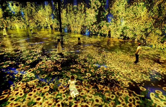 邁阿密：Superblue 邁阿密沉浸式藝術體驗門票