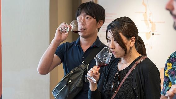 Morning Wine Tour to Chateauneuf du Pape