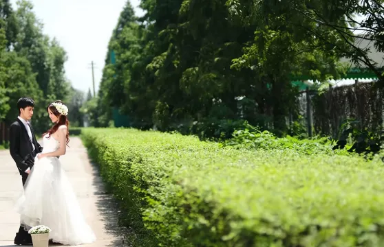 常德Trip Moments【婚禮跟拍 街拍 抓拍 航拍 攝影錄影/多語言翻譯/底片全送/動作指導】