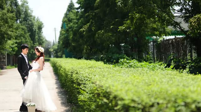 雲林Trip Moments【婚紗寫真/婚禮跟拍航拍街拍抓拍約拍/商業攝影攝像/翻譯】