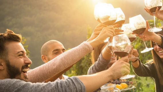 Yarra Valley Wine Tour inc lunch with a glass of wine, tastings and chocolate