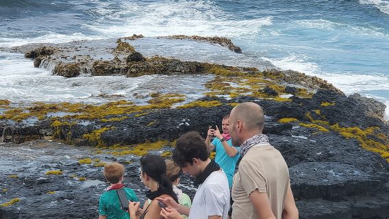 Big Island Southside ATV Tour