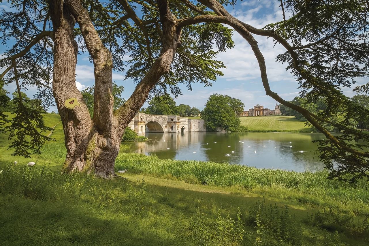 Однодневный тур в Бленхейм Палас, Дом-музей Шекспира и Лондон [Семейный маршрут I Индивидуальный трансфер/аренда автомобиля с водителем]