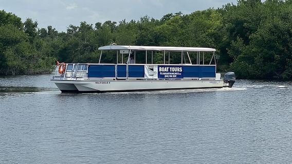Flamingo Everglades Boat Tours