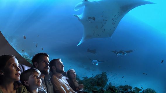 A 360° Immersive Ocean Movie Experience (Catalina Island)