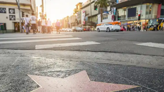 Los Angeles City In-Depth 1-day tour