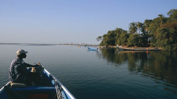 Geführte Tour durch den Bush- und Saloum-Delta von Saly oder Somone aus