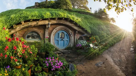 Tour 1 ngày từ Auckland, New Zealand - Tham quan Làng Hobbit bằng xe buýt tham quan toàn cảnh