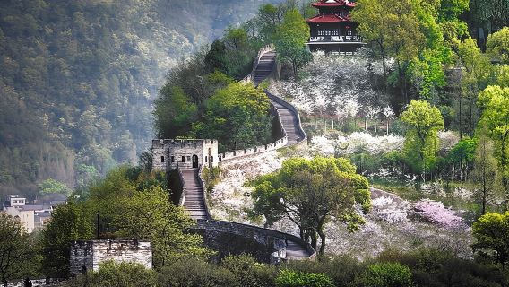 Shanghái: Excursión de un día a la Gran Muralla Sur en tren bala