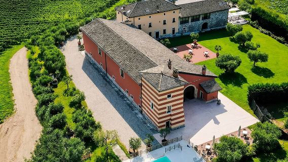 Vineyard tour with tasting of 4 wines on Garda Hills