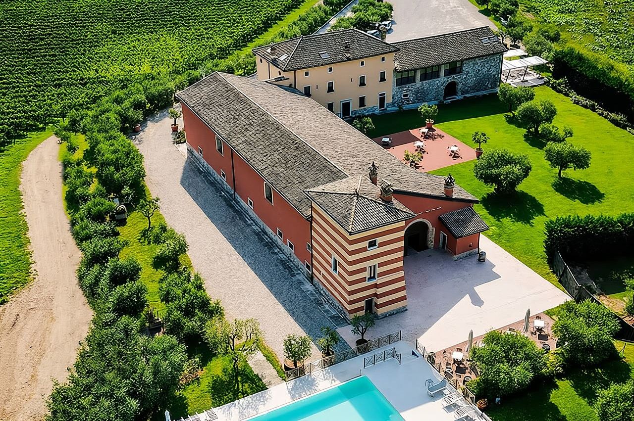 Tour dei vigneti con degustazione di 4 vini sulle colline del Garda