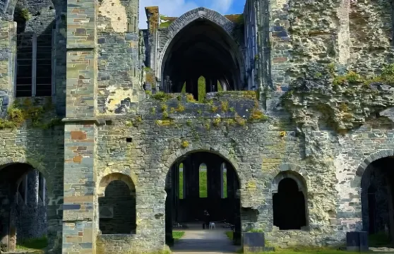 修道院+聖約翰大教堂+市政廳+strijp-S+佈雷達城堡