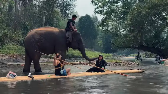 【十一特賣】清邁納財大象營+粘粘瀑布一日遊丨粑粑公園/竹漂流