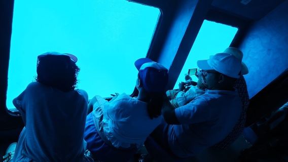 Snorkeling excursion in semi-submarine withِ transfer - Hurghada