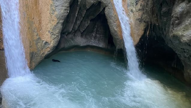 Tour por Monkey Home y las cascadas de Damajagua en Puerto Plata.