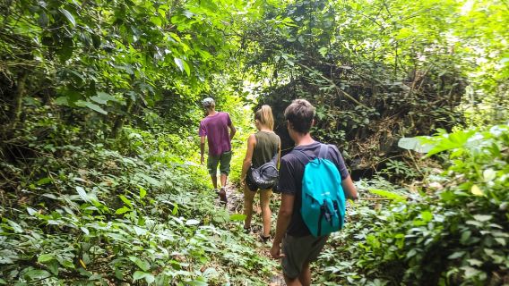 Cát Bà: Tour đi bộ xuyên rừng quốc gia, làng Việt Hải và chèo thuyền kayak