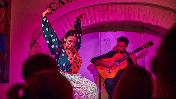 Siviglia: biglietto per lo spettacolo di flamenco a La Casa de la Guitarra