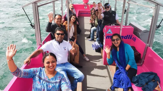 Da Zurigo: tour in pullman delle Cascate del Reno con biglietti d'ingresso