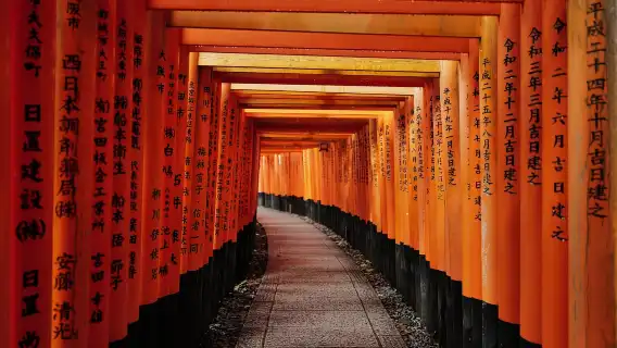 Kyoto: Early Morning Tour with English-Speaking Guide