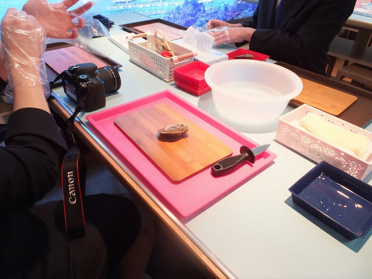 Hands-on Pearl Harvesting Workshop!