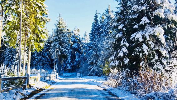 ทัวร์หนึ่งวัน: สกีโบโรเวทส์ และผ่อนคลายในสระน้ำพุร้อนและซาวน่า