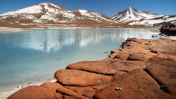 ทัวร์เต็มวันไปยัง Piedras Rojas, Altiplanic Lagoons และ Chaxa