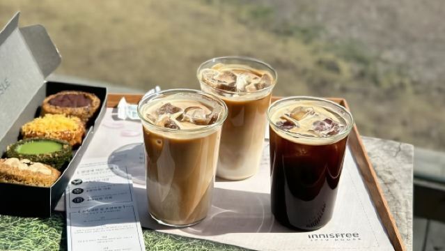 Lawatan sehari sewaan peribadi di Jeju: Muzium Teh Hijau + Aewol-eup + Muzium Teddy Bear di laluan barat