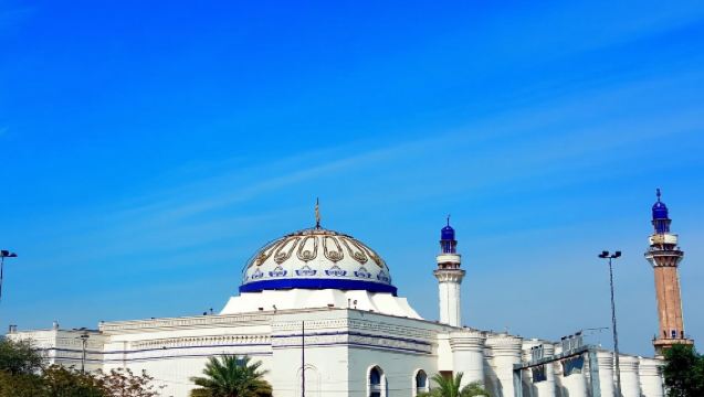 Pemandu pelancong di seluruh Iraq / Penterjemah perniagaan / Perkhidmatan tersuai peribadi / Lawatan bebas dengan sambutan tempatan