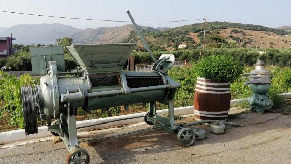 Crete on a Plate: A Cultural Tasting Tour-  From Chania