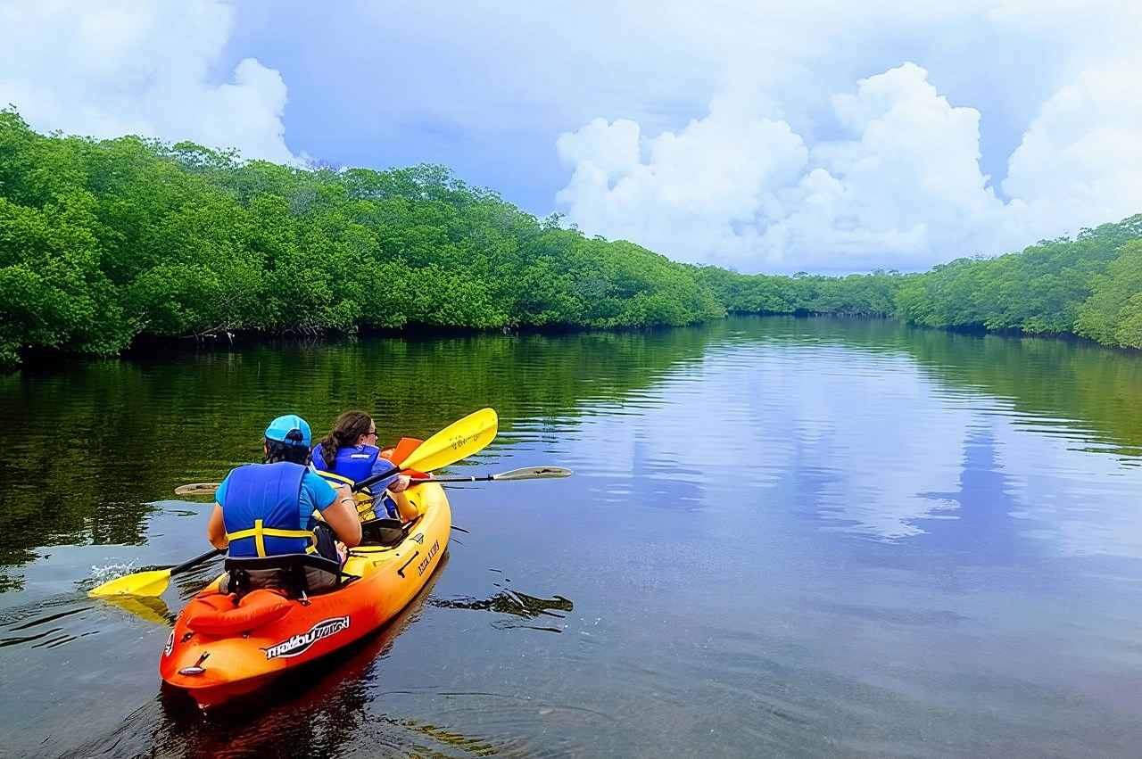 Explora los arroyos de manglares con un alquiler de SUP/kayak individual durante todo el día