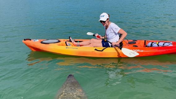 Sarasota Guided Mangrove Tunnel Kayak Tour
