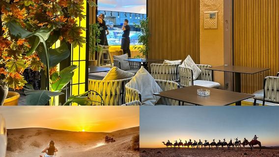 MarrakechTours