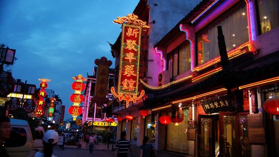 Suzhou Private 1-Day Tour Tiger Hill, Master of the Nets Garden, Canglang Pavilion, Panmen, Guanqian Street