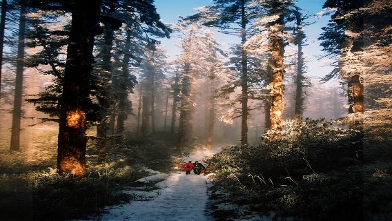 瓦屋山（蘭溪絕壁）一日遊【真純玩接駁車+可選含門票索道組合】