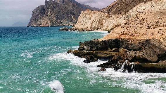 West Salalah, Al Mughsail Beach, White Beach, Frankincense Tree (Half day Tour)