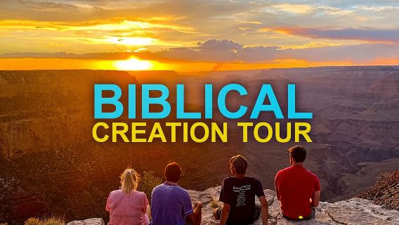 4-Hour Biblical Creation + Sunset Tour • Grand Canyon National Park South Rim