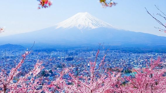 однодневный тур в Токио, Фудзияму, Oshino Hakkai, аутлет Gotemba и горячие источники