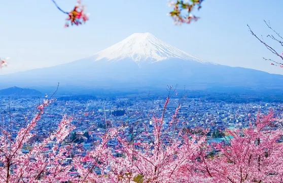 東京富士山、忍野八海、御殿場奧萊或自費溫泉一日遊，賞櫻花
